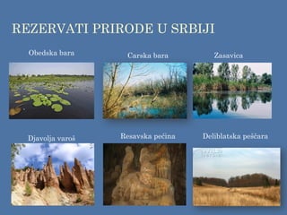 REZERVATI PRIRODE U SRBIJI
Carska bara
Obedska bara
Deliblatska peščara
Djavolja varoš Resavska pećina
Zasavica
 