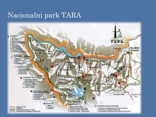 Nacionalni park TARA
 