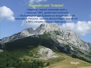 Maglić
Nacionalni park “Sutjeska”
o Najstariji i najveći nacionalni park u
o Osnovan 1962. godine bavi turizmom
o Obuhvata područje Sutjeske sa strogim prirodnim
rezervatom Perućica, dijelove planina Maglić (najviši vrh
u BiH),Volujaka,Vučeva i Zelengore.
 