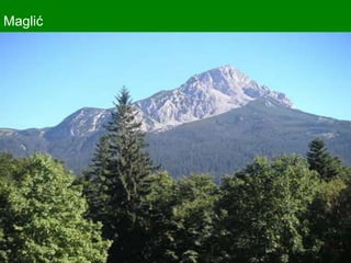 Maglić
 