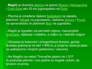 - Maglić je dinarska planina na granici Bosne i Hercegovine
i Crne Gore oko 20 km jugozapadno od Foče
- Planina je omeđena rijekom Sutjeskom na zapadu,
planinom Volujak na jugozapadu, rijekama Drinom i Pivom
na sjeveroistoku te planinom Bioč na jugoistoku
- Maglić je izgrađen od permskih stijena, mezozojskih
krečnjaka, dijabaza i malafira, a vidljivi su i lednički tragovi
- Obrastao je bukovom i crnogoričnom šumom, gornja
šumska granica je na oko 1.600 m, a iznad te visine je plato
sa pašnjacima i brojnim grebenima i visovima
- Na Magliću se nalazi Trnovačko jezero na 1.517
m,podnožje planine i sve padine su bogate vodom, sa
brojnim izvorima
 