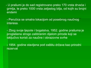 - U prašumi je do sad registrovano preko 170 vrsta drveća i
grmlja, te preko 1000 vrsta zeljastog bilja, od kojih su brojni
endemi
- Perućica se smatra lokacijom od posebnog naučnog
interesa.
- Zbog svoje ljepote i bogatstva, 1952. godine prašuma je
proglašena strogo zaštićenim dijelom prirode koji se
isključivo koristi za naučne i obrazovne svrhe
- 1954. godine stavljena pod zaštitu države kao prirodni
rezervat
 