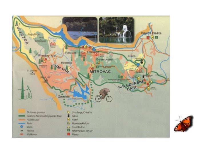 Nacionalni Park Tara