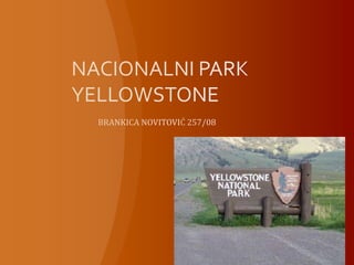 Nacionalni park yellowstone