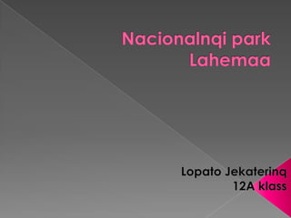 Nacionalnqi park Lahemaa LopatoJekaterinq 12A klass 