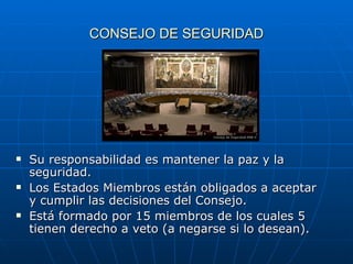 CONSEJO DE SEGURIDAD Su responsabilidad es mantener la paz y la seguridad. Los Estados Miembros están obligados a aceptar y cumplir las decisiones del Consejo. Está formado por 15 miembros de los cuales 5 tienen derecho a veto (a negarse si lo desean).  