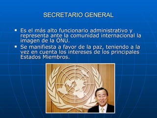 SECRETARIO GENERAL Es el más alto funcionario administrativo y representa ante la comunidad internacional la imagen de la ONU. Se manifiesta a favor de la paz, teniendo a la vez en cuenta los intereses de los principales Estados Miembros. 