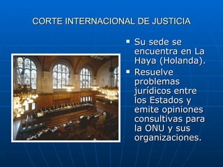 CORTE INTERNACIONAL DE JUSTICIA Su sede se encuentra en La Haya (Holanda). Resuelve problemas jurídicos entre los Estados y emite opiniones consultivas para la ONU y sus organizaciones.  