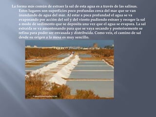 La forma más común de extraer la sal de esta agua es a través de las salinas.
Estos lugares son superficies poco profundas cerca del mar que se van
inundando de agua del mar. Al estar a poca profundad el agua se va
evaporando por acción del sol y del viento pudiendo extraer y recoger la sal
a modo de sedimento que se deposita una vez que el agua se evapora. La sal
extraída se va amontonando para que se vaya secando y posteriormente se
refina para poder ser envasada y distribuida. Como veis, el camino de sal
desde su origen a la mesa es muy sencillo.
 
