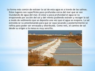 La forma más común de extraer la sal de esta agua es a través de las salinas.
Estos lugares son superficies poco profundas cerca del mar que se van
inundando de agua del mar. Al estar a poca profundad el agua se va
evaporando por acción del sol y del viento pudiendo extraer y recoger la sal
a modo de sedimento que se deposita una vez que el agua se evapora. La sal
extraída se va amontonando para que se vaya secando y posteriormente se
refina para poder ser envasada y distribuida. Como veis, el camino de sal
desde su origen a la mesa es muy sencillo.
 