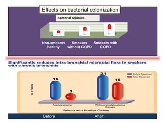 Non-smokers
healthy
Smokers
without COPD
Smokers with
COPD
Bacterial colonies
Before After
Treatment with NAC: Bacterial colonization
Effects on bacterial colonization
 