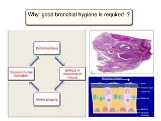 Why good bronchial hygiene is required ?
Bronchiectasis
defects in
clearance of
mucus
Mucus plugging
Viscous mucus
formation
 