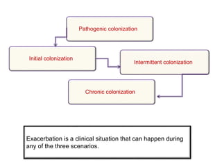 Pathogenic colonization
Initial colonization
Intermittent colonization
Chronic colonization
Exacerbation is a clinical situation that can happen during
any of the three scenarios.
 