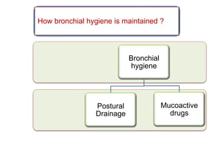 Bronchial
hygiene
Postural
Drainage
Mucoactive
drugs
How bronchial hygiene is maintained ?
 
