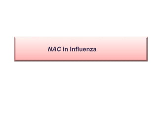 NAC in Influenza
 