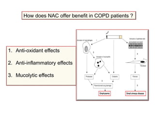 How does NAC offer benefit in COPD patients ?
1. Anti-oxidant effects
2. Anti-inflammatory effects
3. Mucolytic effects
 