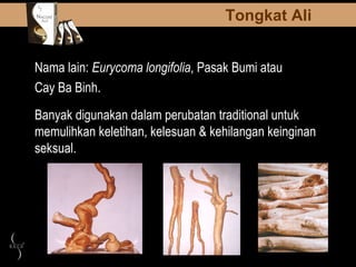 Nama lain:  Eurycoma longifolia , Pasak Bum i  atau   Cay Ba Binh . Banyak digunakan dalam perubatan traditional untuk memulihkan keletihan, kelesuan & kehilangan keinginan seksual. Tongkat Ali 