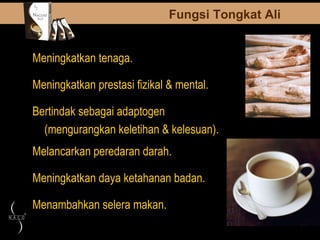 Menambahkan selera makan. Meningkatkan tenaga. Meningkatkan prestasi fizikal & mental. Bertindak sebagai adaptogen  (mengurangkan keletihan & kelesuan). Melancarkan peredaran darah. Meningkatkan daya ketahanan badan. Fungsi Tongkat Ali 