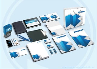 Naksha Advertising - Company Credentials