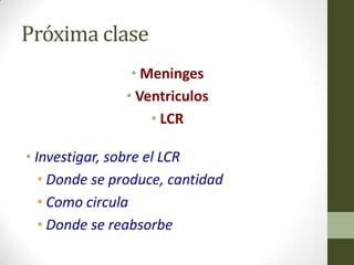 Próxima clase
                • Meninges
               • Ventriculos
                   • LCR

• Investigar, sobre el LCR
   • Donde se produce, cantidad
   • Como circula
   • Donde se reabsorbe
 