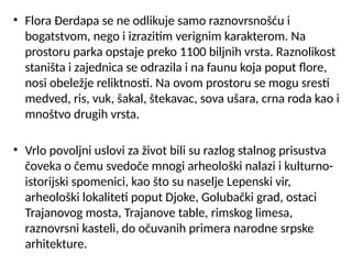 • Flora Đerdapa se ne odlikuje samo raznovrsnošću i
bogatstvom, nego i izrazitim verignim karakterom. Na
prostoru parka opstaje preko 1100 biljnih vrsta. Raznolikost
staništa i zajednica se odrazila i na faunu koja poput flore,
nosi obeležje reliktnosti. Na ovom prostoru se mogu sresti
medved, ris, vuk, šakal, štekavac, sova ušara, crna roda kao i
mnoštvo drugih vrsta.
• Vrlo povoljni uslovi za život bili su razlog stalnog prisustva
čoveka o čemu svedoče mnogi arheološki nalazi i kulturno-
istorijski spomenici, kao što su naselje Lepenski vir,
arheološki lokaliteti poput Djoke, Golubački grad, ostaci
Trajanovog mosta, Trajanove table, rimskog limesa,
raznovrsni kasteli, do očuvanih primera narodne srpske
arhitekture.
 