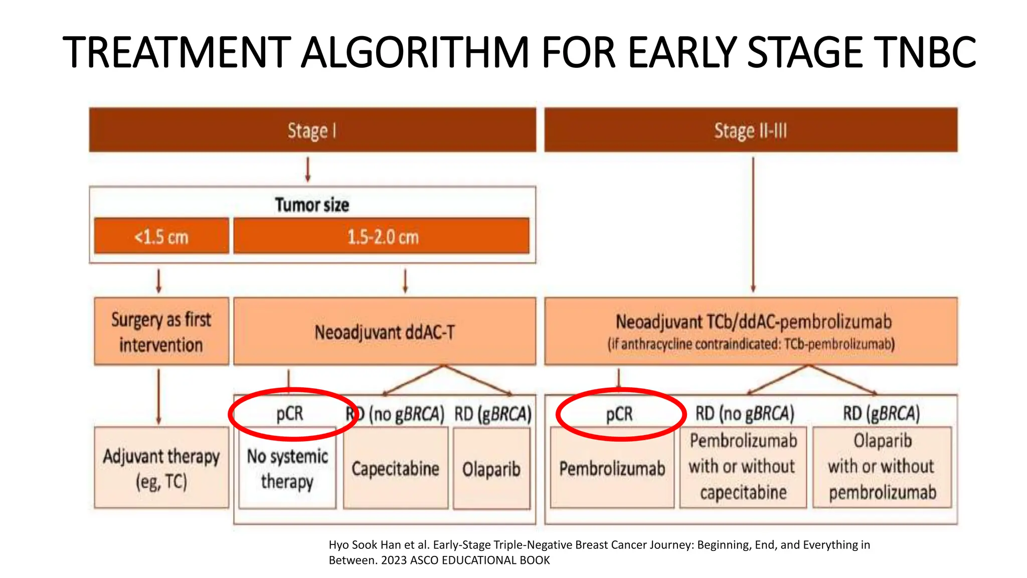 ROLE OF NEO ADJUVANT CHEMOTHERAPY IN TRIPLE NEGATIVE BREAST CANCER | PPTX