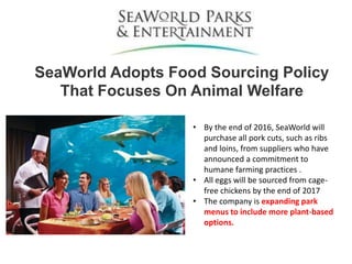 SeaWorld Adopts Food Sourcing Policy
That Focuses On Animal Welfare
• By the end of 2016, SeaWorld will
purchase all pork cuts, such as ribs
and loins, from suppliers who have
announced a commitment to
humane farming practices .
• All eggs will be sourced from cage-
free chickens by the end of 2017
• The company is expanding park
menus to include more plant-based
options.
 