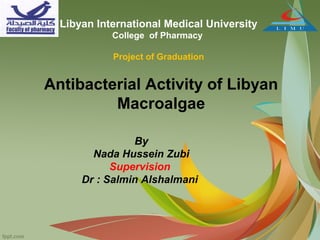 Libyan International Medical University
College of Pharmacy
Project of Graduation

Antibacterial Activity of Libyan
Macroalgae
By
Nada Hussein Zubi
Supervision
Dr : Salmin Alshalmani

 