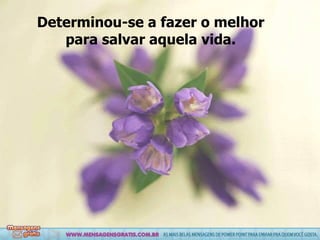 Determinou-se a fazer o melhor para salvar aquela vida. 