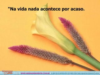 "Na vida nada acontece por acaso. 