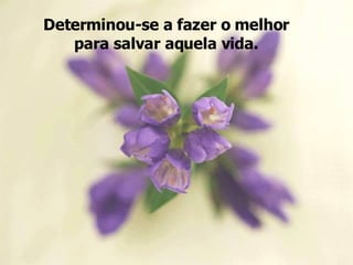 Determinou-se a fazer o melhor para salvar aquela vida. 