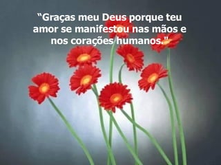 “ Graças meu Deus porque teu amor se manifestou nas mãos e nos corações humanos." 