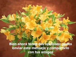 Bien ahora tenes dos opciones: podes enviar este mensaje y compartirlo con tus amigos 