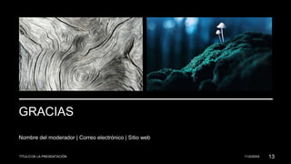 GRACIAS
Nombre del moderador | Correo electrónico | Sitio web
TÍTULO DE LA PRESENTACIÓN 11/2/20XX 13
 