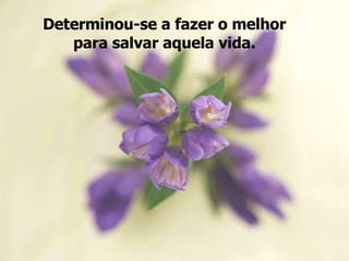 Determinou-se a fazer o melhor para salvar aquela vida. 