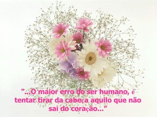 "...O maior erro do ser humano,  é  tentar tirar da cabe ç a aquilo que não sai do cora ç ão..." 