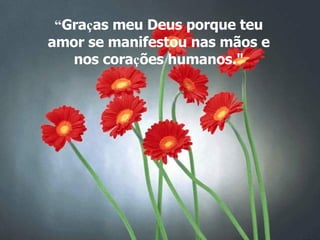 “ Gra ç as meu Deus porque teu amor se manifestou nas mãos e nos cora ç ões humanos." 