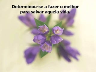 Determinou-se a fazer o melhor para salvar aquela vida. 