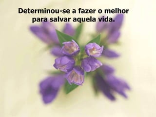 Determinou-se a fazer o melhor
   para salvar aquela vida.
 