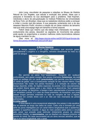 John Long, vice-diretor de pesquisa e coleções no Museu de História 
Natural de Los Angeles, que estuda a evolução dos peixes, disse que a 
pesquisa é inovadora na sua abordagem para o problema. Vlad Kopman, 
roboticista e aluno de pós-graduação no Instituto Politécnico da Universidade 
de Nova York, em Brooklyn, disse que os nadadores robóticos estão a começar 
a imitar o mundo real dos peixes. A sua pesquisa, juntamente com a do seu 
assessor Maurizio Porfiri, envolve a criação de um peixe robótico de tamanho 
real que imita uma espiga régio em tamanho e forma corporal. 
Feilich disse que mesmo que ela esteja mais interessado na ecologia 
evolucionária dos peixes, descobrir os segredos do movimento dos peixes 
pode ajudar os engenheiros a construir melhores robôs biomiméticos debaixo 
de água e também no céu. 
(See more at: http://www.ciencia-online.net/2013/01/qual-funcao-da-forma- 
dos-peixes.html#sthash.dsCczm3R.dpuf 
A Bexiga Natatória 
A bexiga natatória é um órgão hidrostático que acumula gases, 
principalmente o oxigênio e o nitrogênio, retirados diretamente do meio ou a 
partir do sangue. 
Ela permite ao peixe ficar “estabilizado”, flutuando em qualquer 
profundidade, sem gastar energia. Nos peixes chamados fisóstomos, ela está 
ligada ao esôfago por um canal (pneumoduto) que permite uma fácil entrada 
ou saída de gases, com a consequente variação do seu volume interno. Esse 
pneumoduto não existe nos peixes fisoclistos, e a variação de volume da 
bexiga depende, então, de regiões especiais da parede, muito vascularizadas, 
que podem liberar gases para o seu interior ou absorvê-los. Num pequeno 
grupo de peixes, os dipnóicos, a bexiga é bem vascularizada e funciona como 
um verdadeiro pulmão. É o caso da nossa pirambóia, da Amazônia, que pode 
passar longos períodos enterrada no lodo às margens de rios e lagoas, 
respirando em contato direto com o ar. São por isso chamados de peixes 
pulmonados. 
A Linha Lateral 
A linha lateral é outra excepcional adaptação dos peixes à vida aquática. 
Ela se estende ao longo dos lados do corpo. Cada uma é formada por uma 
série de poros interligados por um canal interno longitudinal (sob a epiderme), 
paralelo à superfície corporal. A água do meio penetra pelos poros e circula 
pelo canal; sua pressão pode estimular diretamente grupos de células 
sensoriais ciliadas, os neuromastos, que se dispõem em espaços próprios na 
parede do canal. De cada neuromastos sai um ramo nervoso sensitivo, que se 
liga a um nervo longitudinal, sob o canal. 
 