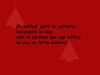 En solitud, però no solitaris, reconduïm la vida amb la certesa que cap esforç no cau en terra eixorca.   