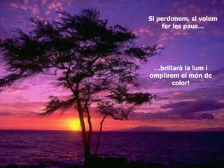Si perdonem, si volem fer les paus… … brillarà la lum i omplirem el món de color! 