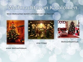 Wenn Weihnachten kommt schmücken wir das Haus mit:
einem Weihnachtsbaum
einer Krippe
Weihnachtsschmuck
 