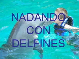 NADANDO
CON
DELFINES
 
