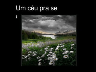 Um céu pra se olhar..... 