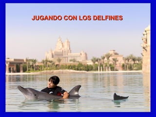 JUGANDO CCOONN LLOOSS DDEELLFFIINNEESS 
 