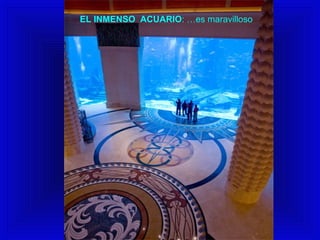 EL INMENSO ACUARIO: …es maravilloso 
 