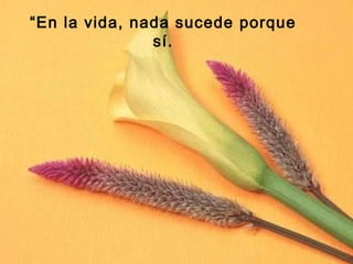 “En la vida, nada sucede porque
sí.
 