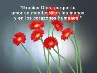 “Gracias Dios, porque tu
amor se manifestó en las manos
y en los corazones humanos."
 