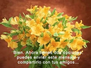 Bien. Ahora tienes dos opciones:
puedes enviar este mensaje y
compartirlo con tus amigos…
 